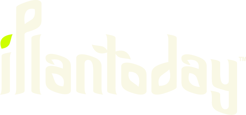 iPlantoday