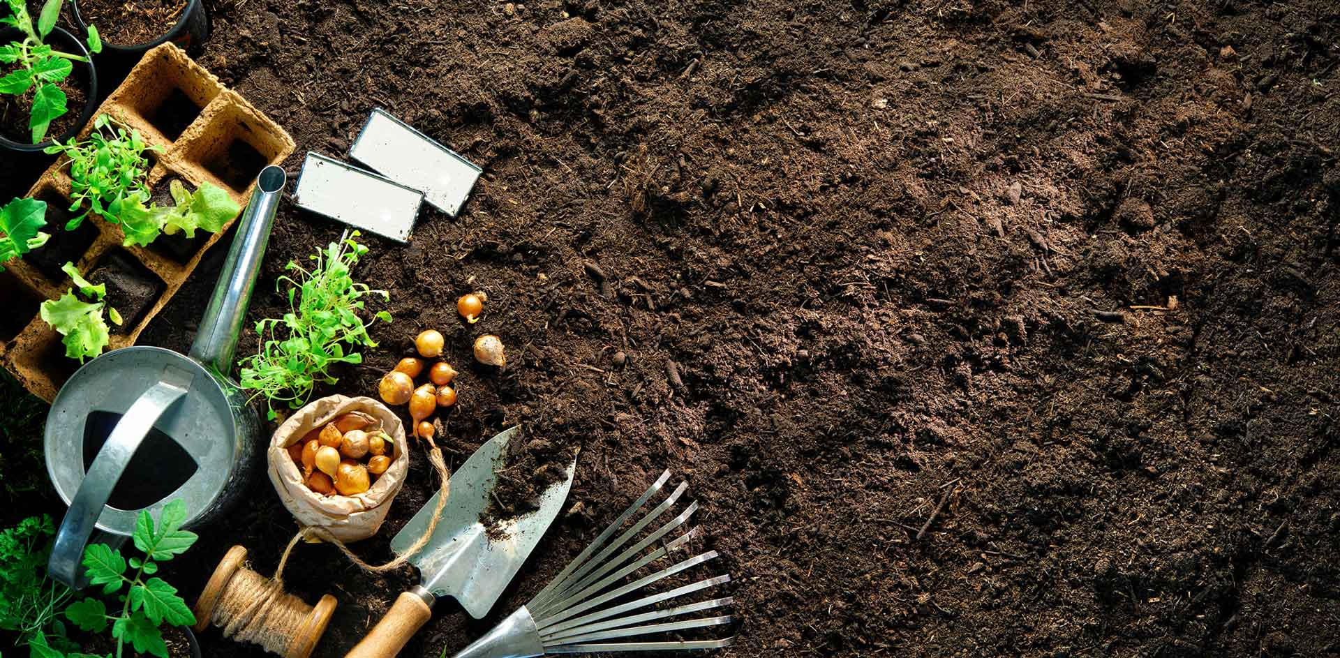 iplantoday-homepage-carousel-1