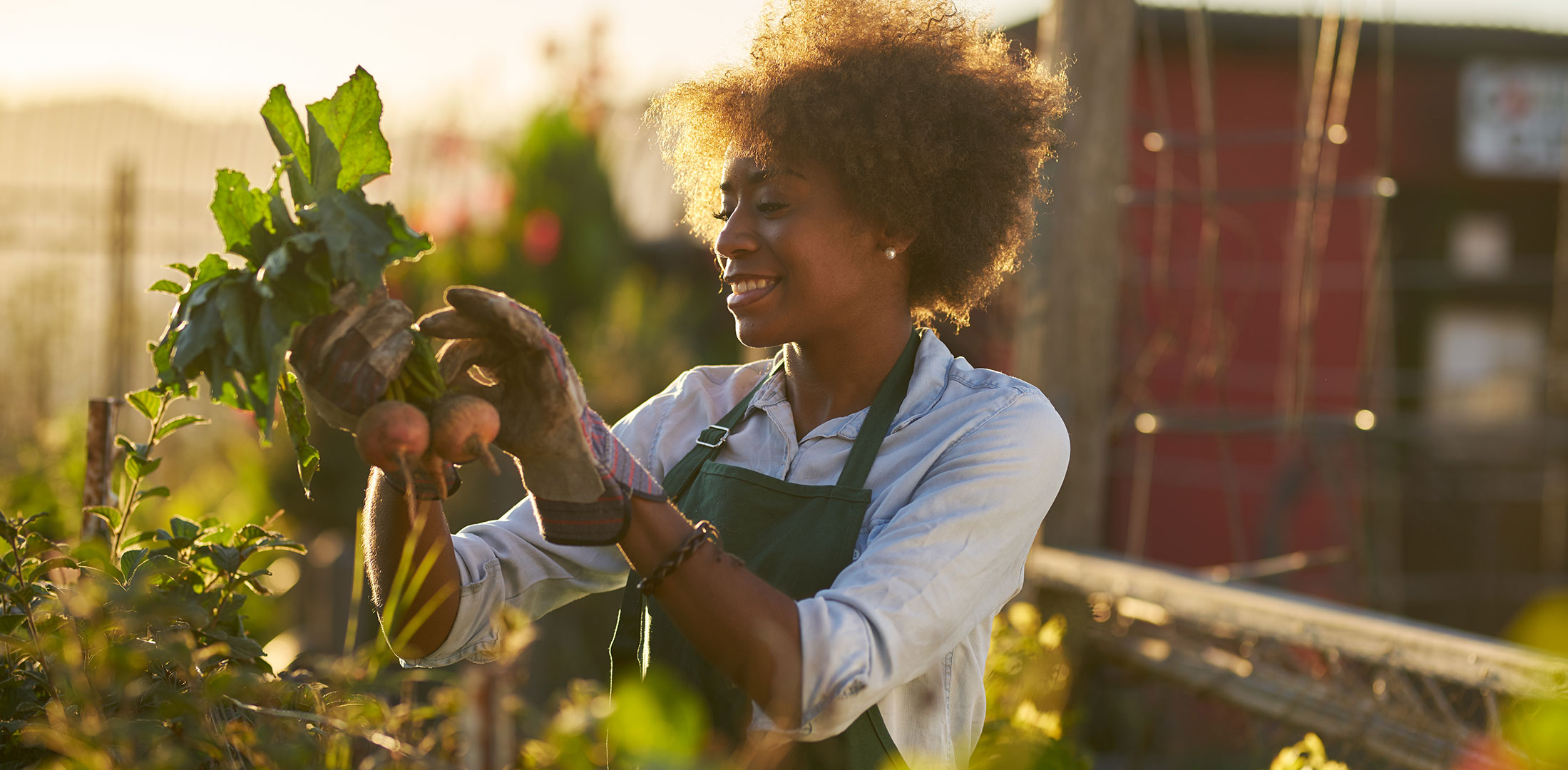 iplantoday-homepage-carousel-3