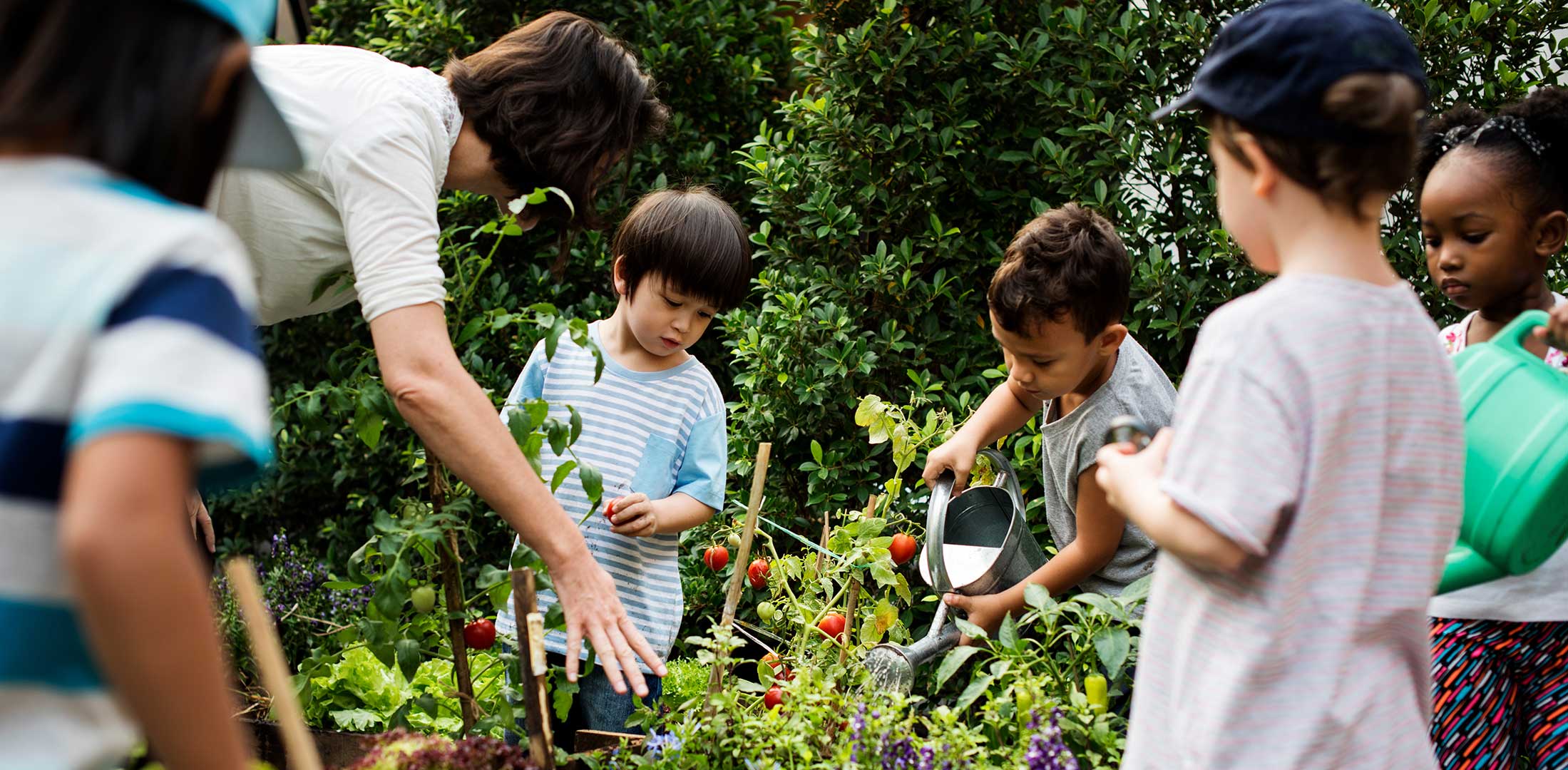 iplantoday-homepage-carousel-4